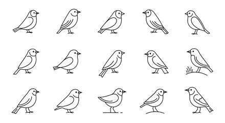 Fototapeta premium Set of cute hand-drawn bird illustrations, vector art, simple and clean design
