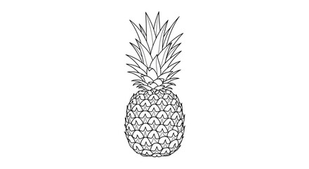 Obraz premium Pineapple sketch, tropical fruit, outline, vector illustration, white background