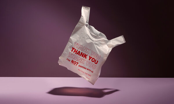 thank you bag
