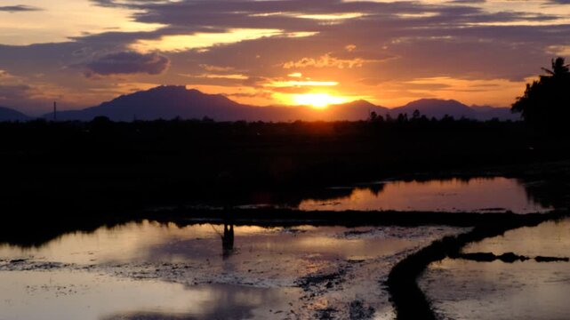 Part 2. Silhouette of a Vietnamese peasant working in a traditional hat in the middle of a golden sunset rice terrace. 4K.