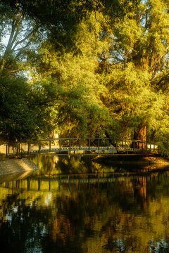 Riverbank scene with wooden bridge and reflections at sunset
