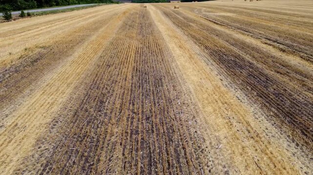 Aerial harvested wheat field with hay bales tilt view. Agricultural rural seasonal scenery