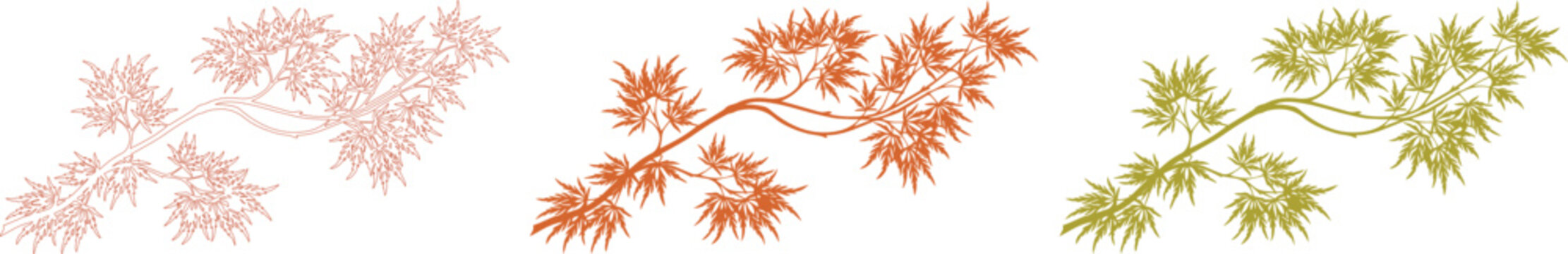 Autumnal maple leaf branches, a vibrant vector collection in three color variations; fall foliage graphic resource for seasonal designs, nature-inspired decor