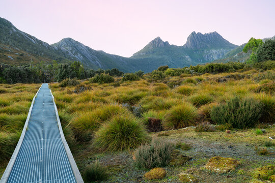 Boardwalk trails to Cradle Mountain Lake St Clair National Park