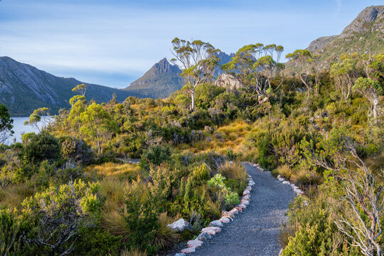 Boardwalk trails to Cradle Mountain Lake St Clair National Park