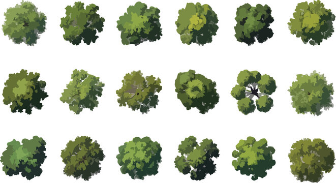 Architectural Tree Top View Vector Collection for Site Plans