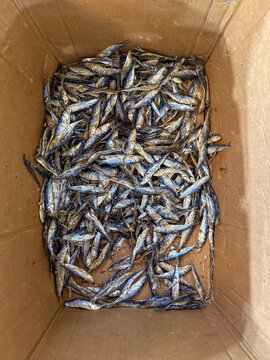 Dried fish packed inside a cardboard box