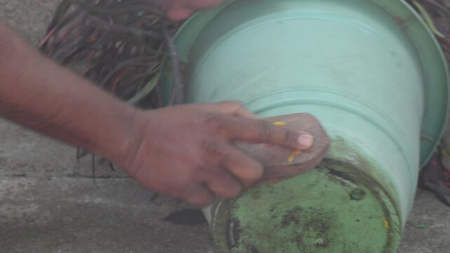 A person is cleaning a green plastic flowerpot by hand using a coconut coir brush. In which a green plant is planted. One hand holds the edge of the pot while the other scrubs the damaged surface.