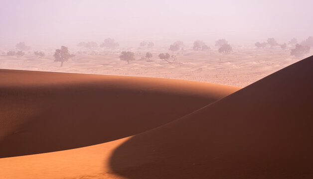 Sahara Sandstorm Dunes