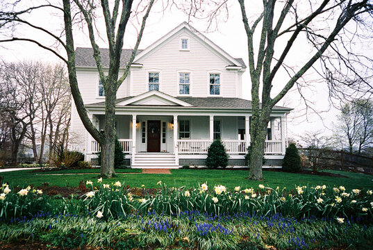 Daffodils  Spring Garden House Exterior Film 