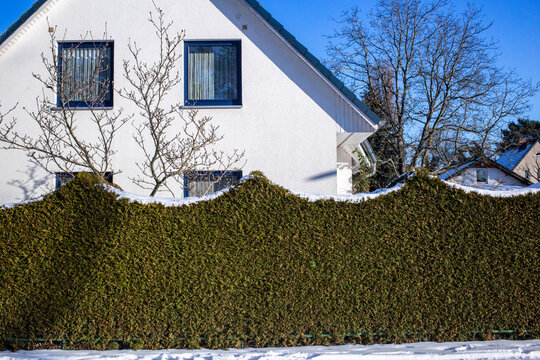 White house with hedge in winter
