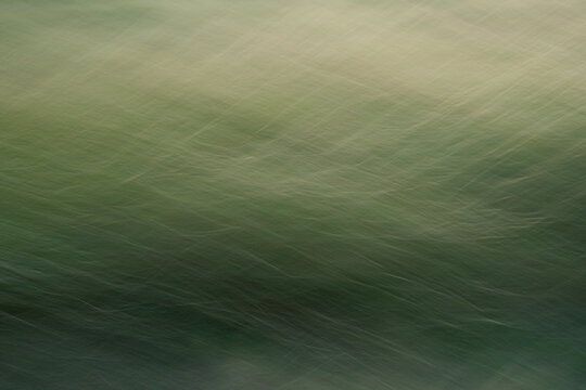 Abstract still life of a grass meadow
