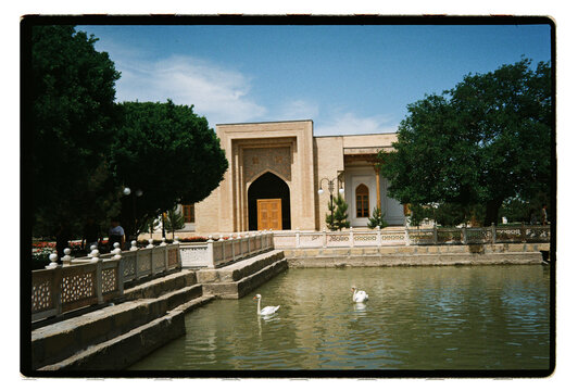 Swans glide past an Islamic shrine framed by ancient trees in Bukhara