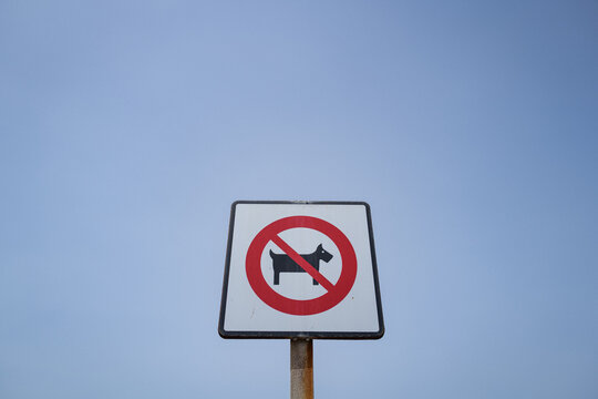No dogs allowed sign against clear sky background