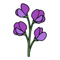Fototapeta premium Purple Sweet Pea Clipart: Single Botanical Line Art