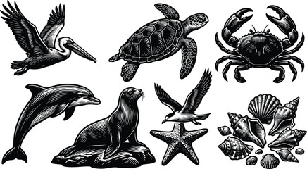 Obraz premium Set of detailed monochrome marine animal illustrations including sea turtle dolphin crab and seashells in vintage woodcut style