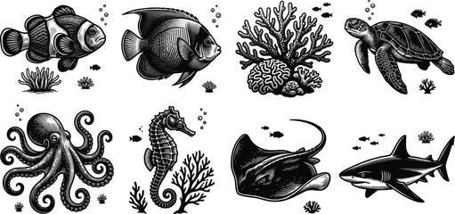 Vintage woodcut style marine life collection with detailed monochrome illustrations of sea turtle shark octopus and tropical fish © MstShapla