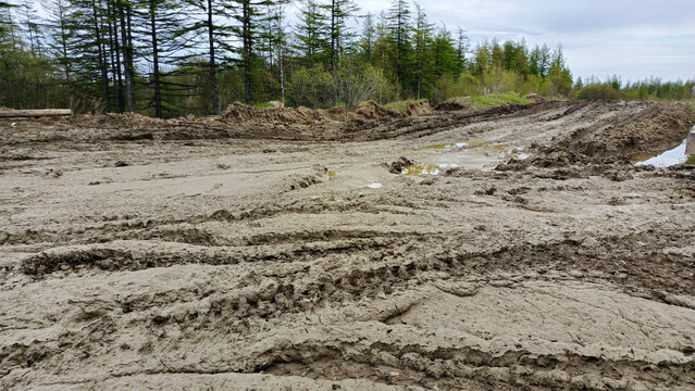 Muddy dirt road with deep tire tracks through a forest. Impassable rural track in rainy weather. Off-road driving challenge and wilderness navigation concept. Damaged ground surface path.