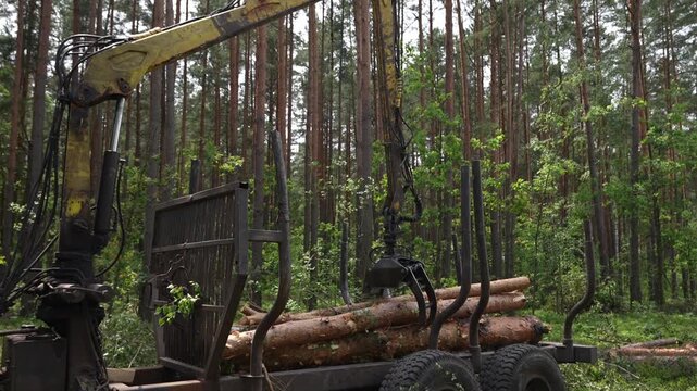 Loading Logs onto Hydraulic Machinery on a Logging Truck. Heavy lifting crane loading cut wooden logs. Forwarder tractor for wood transport. Tractor with trailer loaded with logs. Forestry tractor
