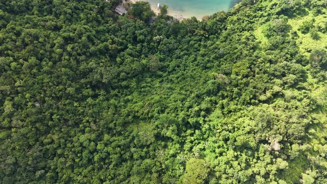 Aerial View of Pouso da Caja&iacute;ba Beach and Atlantic Forest, Brazil | Vista A&eacute;rea da Praia do Pouso da Caja&iacute;ba e Mata Atl&acirc;ntica, Brasil