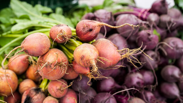 Fresh raw golden and purple beets at farmer's market