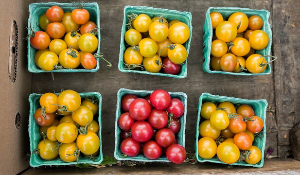 Fresh organic cherry tomatoes in farm market baskets