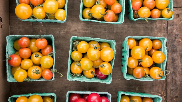 Cherry tomatoes in green cartons at farmers market
