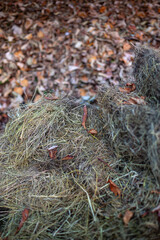 Naklejka premium Natural ingredients for preparing compost