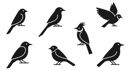 Obraz premium Black silhouettes of various birds on white background