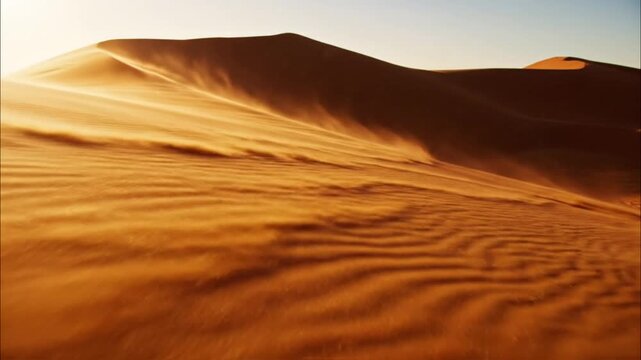 Extensive golden sand dunes forming wavy patterns under clear desert sky
