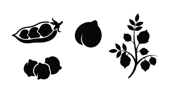 Pea pod peach cotton boll and branch silhouettes in a black and white composition silhouette