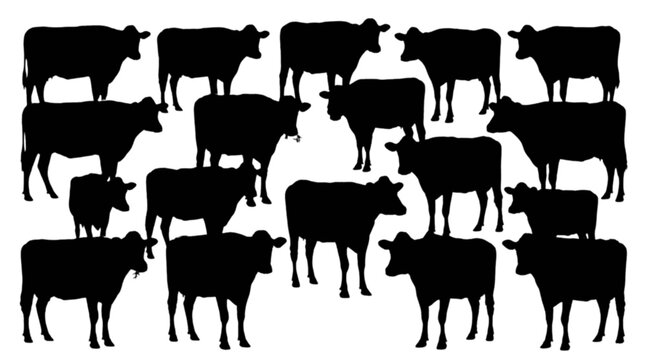 Black cows standing in a group silhouette style isolated on transparent background, Vector
