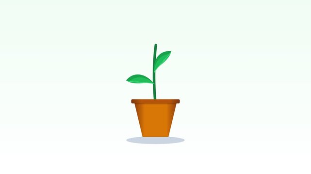 Flat Vector Animation of a Pot of Growing Flower