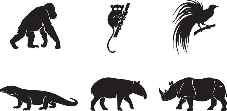 Collection of black silhouettes of Indonesian wildlife and tropical rainforest animals isolated on a white background