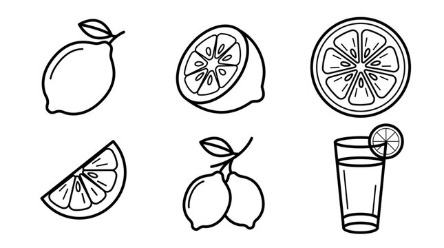 Cute lemon line art vector set with whole lemon, slices, and lemonade glass icon illustrations