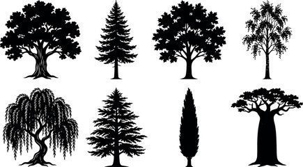 Set of black tree silhouettes including oak maple pine and baobab isolated on white background for nature design © Abullah