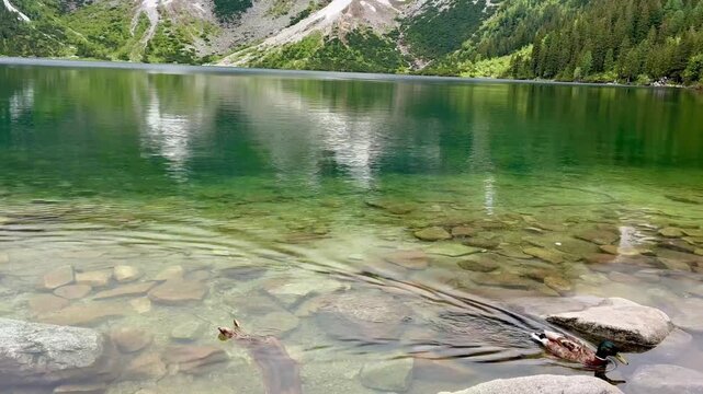 Panoramic view of Morskie Oko lake in Tatra National Park in Poland
