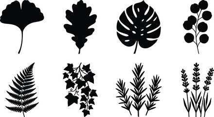 Collection of botanical silhouettes including ginkgo, oak, monstera, fern, ivy, rosemary, lavender, and berry branch © MDMUNTASSER