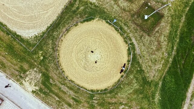 A round pen is set up for horse training at a ranch. Several people lead and control the horses inside the pen while green fields surround the area.