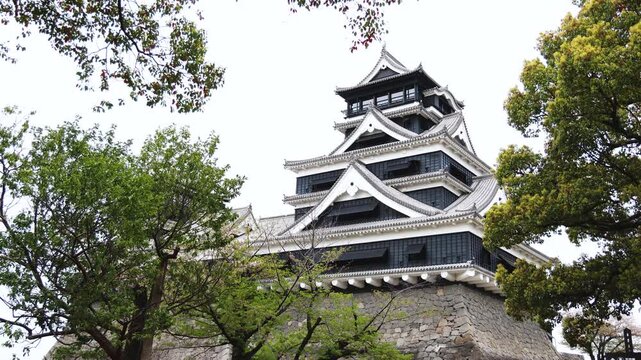Kumamoto Castle, exterior view, Kumamoto city, Chuo-ku, Kyushu island region, Japan, spring landscape view and blooming sakura cherry blossom, Kumamoto prefecture, travel to Japan, Japanese castle