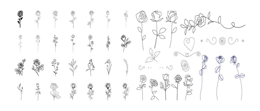 Single Rose Stem Vector Line Art Collection, Minimalist Floral Elements Set