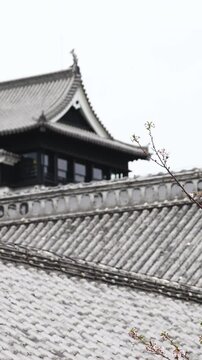Kumamoto Castle, exterior view, Kumamoto city, Chuo-ku, Kyushu island region, Japan, spring landscape view and blooming sakura cherry blossom, Kumamoto prefecture, travel to Japan, Japanese castle