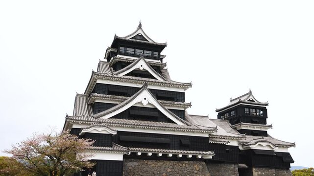 Kumamoto Castle, exterior view, Kumamoto city, Chuo-ku, Kyushu island region, Japan, spring landscape view and blooming sakura cherry blossom, Kumamoto prefecture, travel to Japan, Japanese castle