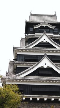 Kumamoto Castle, exterior view, Kumamoto city, Chuo-ku, Kyushu island region, Japan, spring landscape view and blooming sakura cherry blossom, Kumamoto prefecture, travel to Japan, Japanese castle