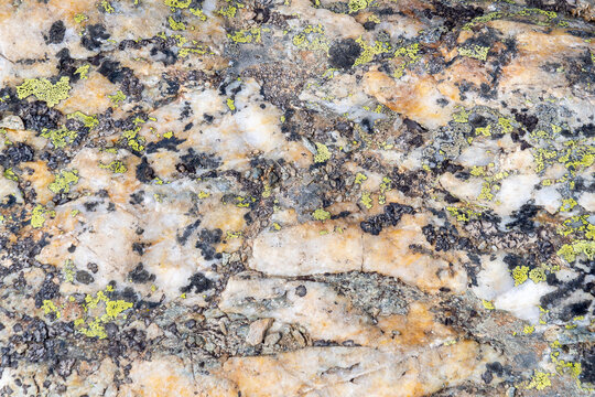 Stone texture