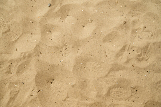 Sea sand texture