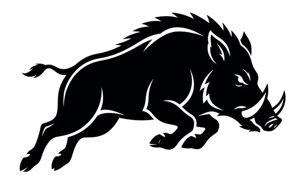 Wild boar silhouette illustration a black vector image on a white background pig sus scrofa
