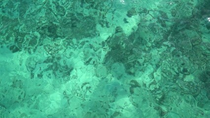 Aerial view of coral reef and clear blue ocean water © Gutium