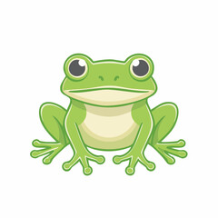 Fototapeta premium Cute Green Frog Illustration
