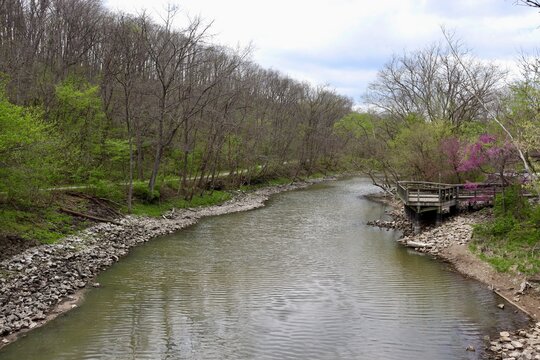 The peaceful flowing creek in the woods.